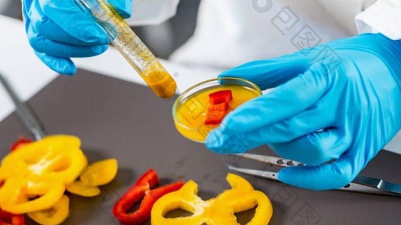 山东粮油生产：探寻优质原料的源头